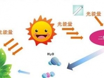 甲醛治理用什么辦法最正確？這三點常見的除甲醛辦法其實是誤區(qū)