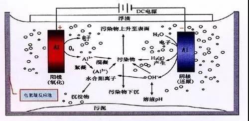 我買了一個甲醛檢測儀，吹口氣后發(fā)現(xiàn)原來我才是“地表最強(qiáng)”污染源！