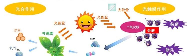 甲醛治理用什么辦法最正確？這三點(diǎn)常見的除甲醛辦法其實(shí)是誤區(qū)