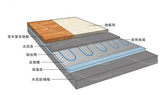 冬季，它們成了甲醛的幫兇