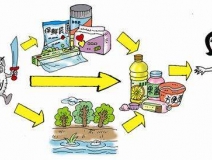 食品中有塑化劑嗎？這些食品中含有大量塑化劑，食用時一定要注意！