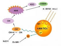 現(xiàn)在光觸媒的價(jià)格是多少？