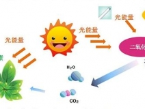 光觸媒去除房間甲醛爭(zhēng)議很大？