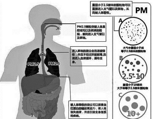 絕不是危言聳聽(tīng) 近十年霧霾致北京肺癌暴增43%