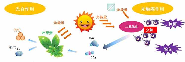 家中甲醛超標，什么才是甲醛治理的正確姿勢？